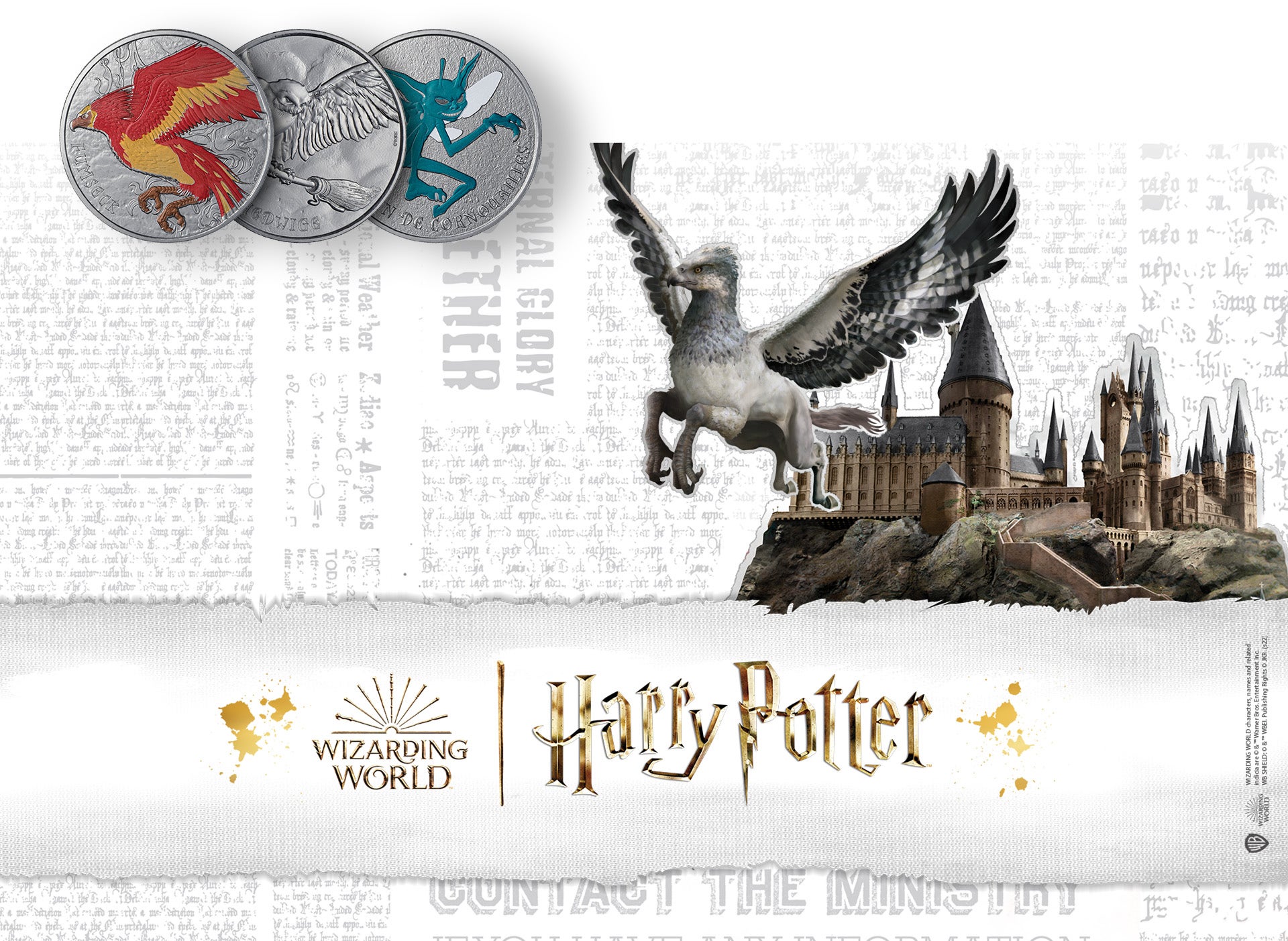 Harry Potter - Album Collector pour mini-médailles - 2022 – pieces-et- monnaies.com