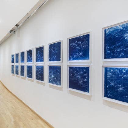 Kiki Smith, The Light of the World [La lumière du monde], 2017, Cyanotype sur papier Losin de Prague Cyanotype on Losin Prague paper, Courtesy Pace Gallery, New York © Monnaie de Paris | Martin Argyroglo