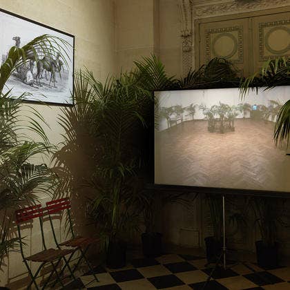 Jardin d'hiver Marcel Broodthaers film Jardin d'hiver Marcel Broodthaers film