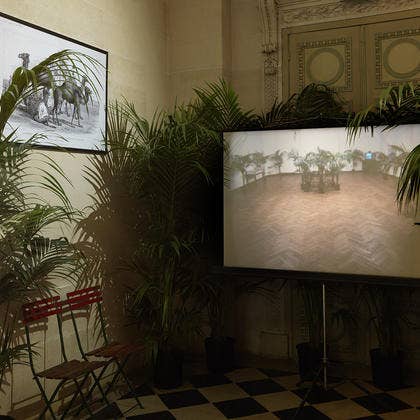 Jardin d'hiver Marcel Broodthaers film