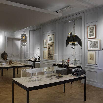 Section des Figures institution Marcel Broodthaers Section des Figures institution Marcel Broodthaers